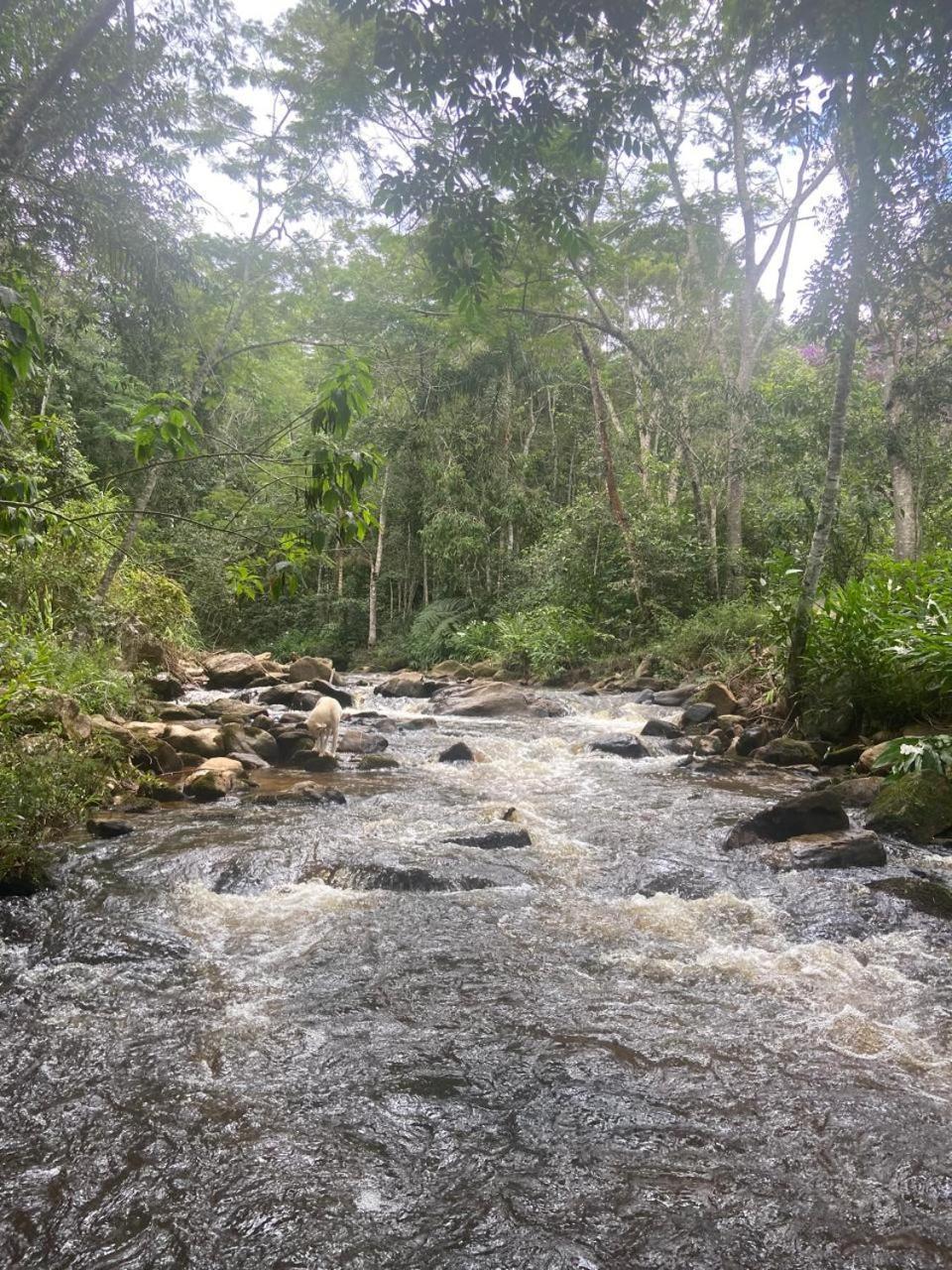Pousada Rural E Pesqueiro Chale Da Serra Conceição da Ibitipoca Eksteriør billede