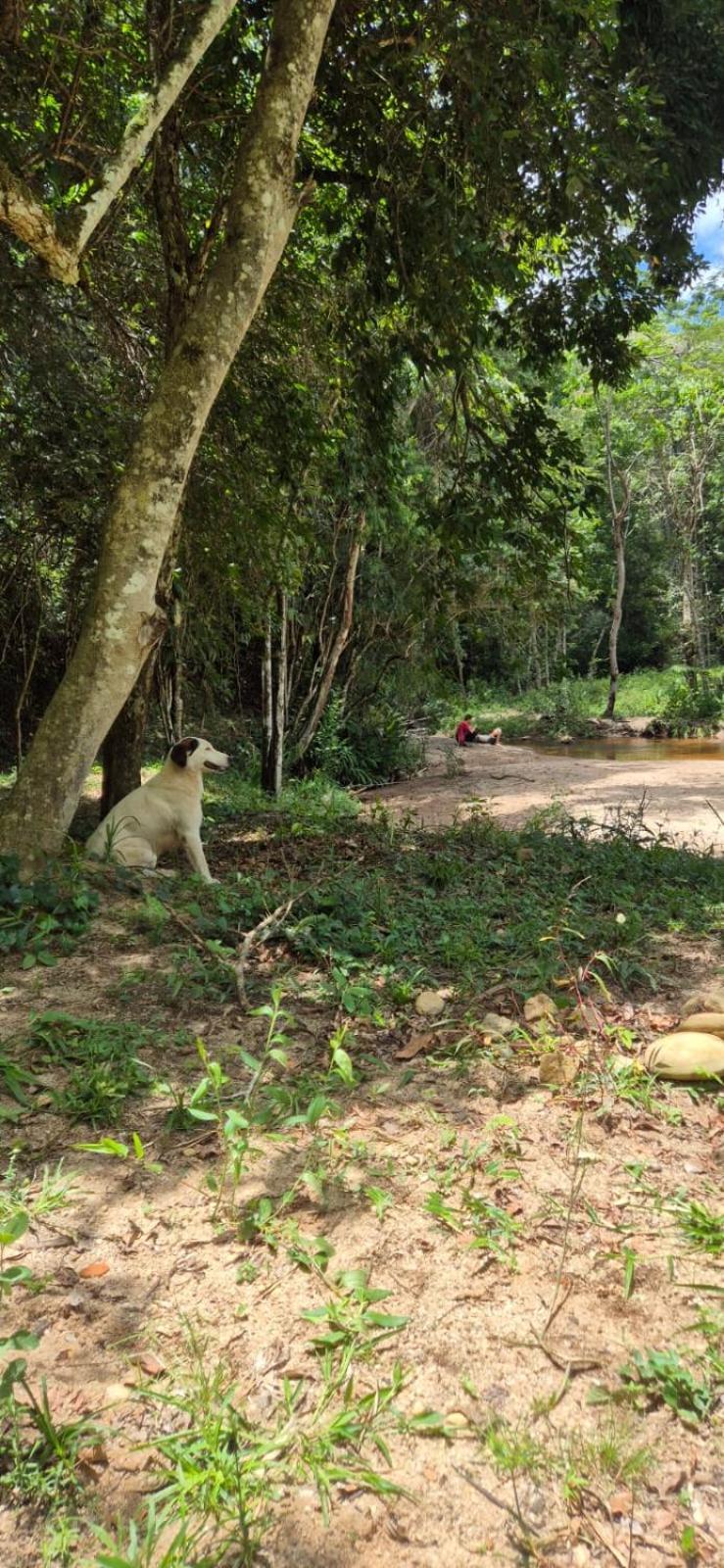 Pousada Rural E Pesqueiro Chale Da Serra Conceição da Ibitipoca Eksteriør billede